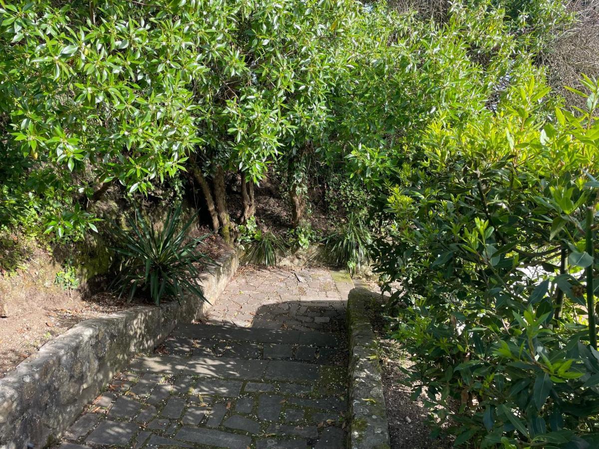 Villa En Playa Limens Cangas do Morrazo Exteriér fotografie